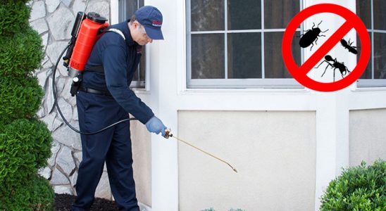 Aralık Kene İlaçlama böcek ilaçlama ve haşere kontrolü — ilaclama-tr.com